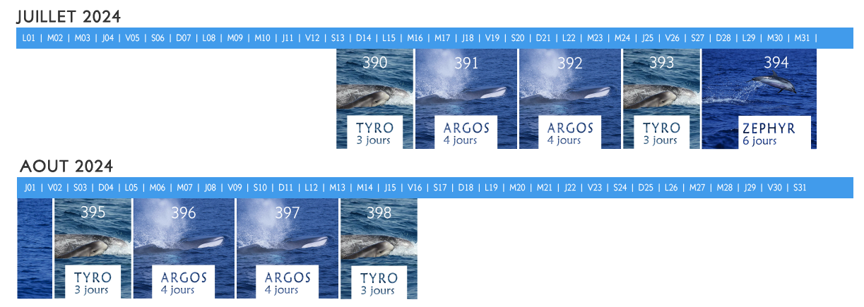 Calendrier stage observation baleines et dauphins de Mediterrannee 2021