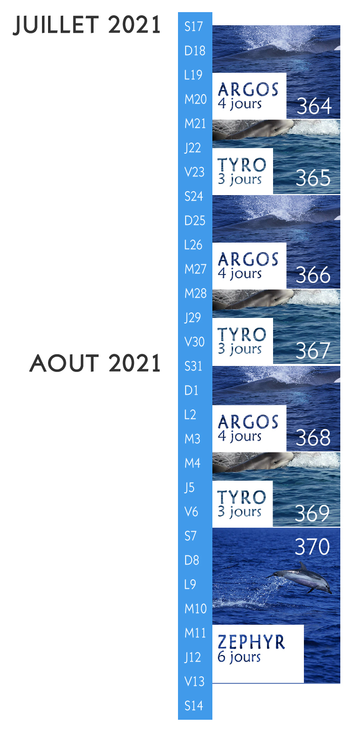 Calendrier stage d observation baleines et dauphins de Mediterrannee 2021